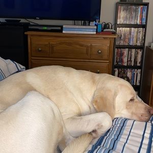 Meet your Posher, Esther